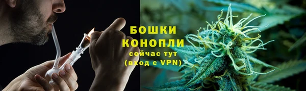 PSILOCYBIN Кодинск