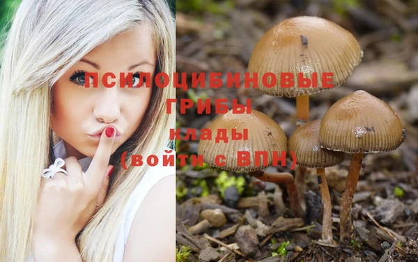 марки nbome Арсеньев